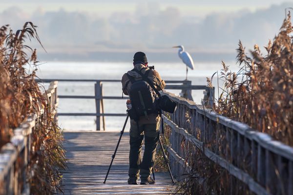 Bezlusterkowiec - mały aparat, duże możliwości